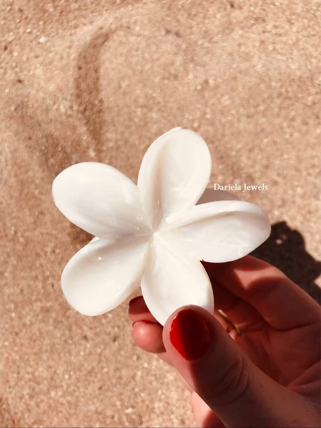 Pince, barrettes  à cheveux Monoï