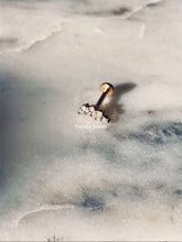 Charger l&#39;image dans la galerie, Piercing Saskia en acier inoxydable 316L avec feuille d’automne et strass oxyde de zirconium
